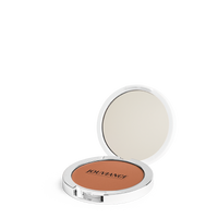 Touche de Soleil | Sunkissed Powder